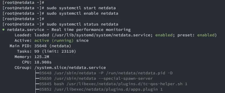 avvia verifica netdata