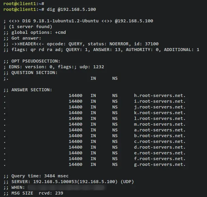 verificar servidor dns dig