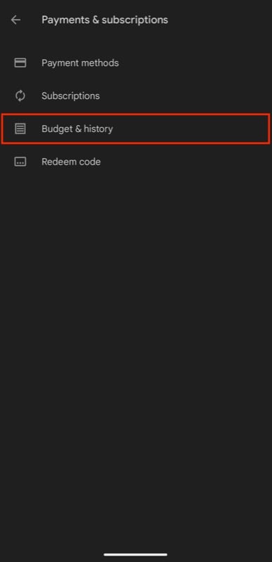 выбор бюджета и истории в настройках play store