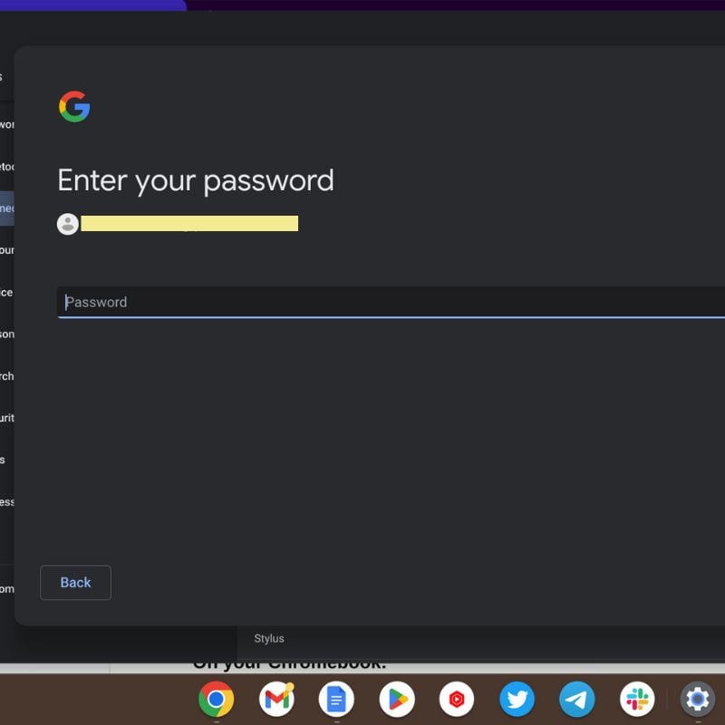 digite a senha do google
