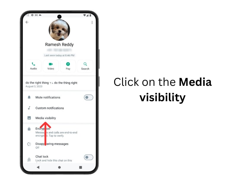 visibilità media