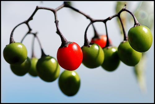 be-different