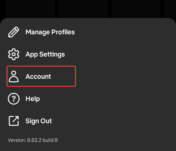 Impostazioni Account Netflix