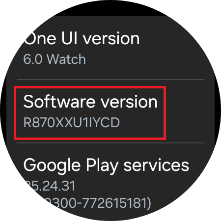 software version