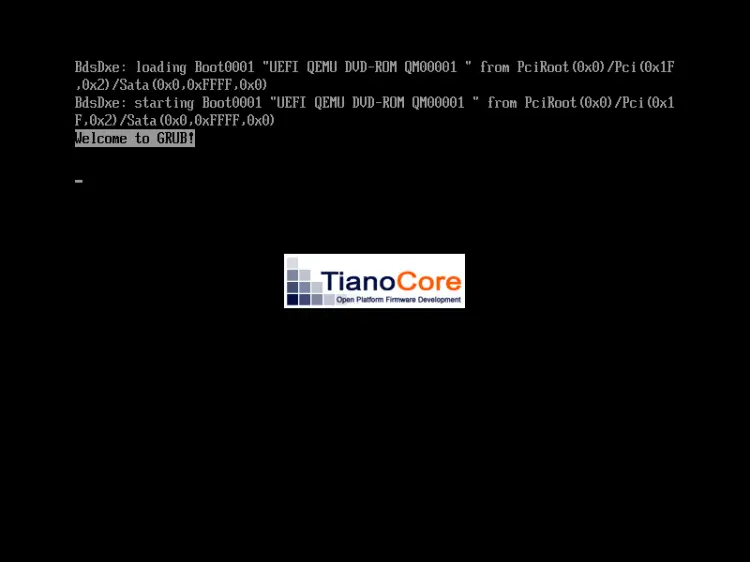 TianoCore UEFIブートスプラッシュ