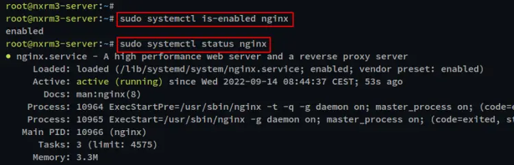 verificar nginx