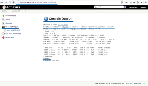 Jenkins script result output