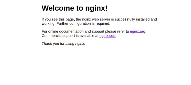 Pagina di benvenuto di Nginx