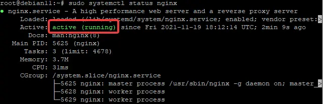 Konfiguration des NGINX Reverse Proxy für Plex