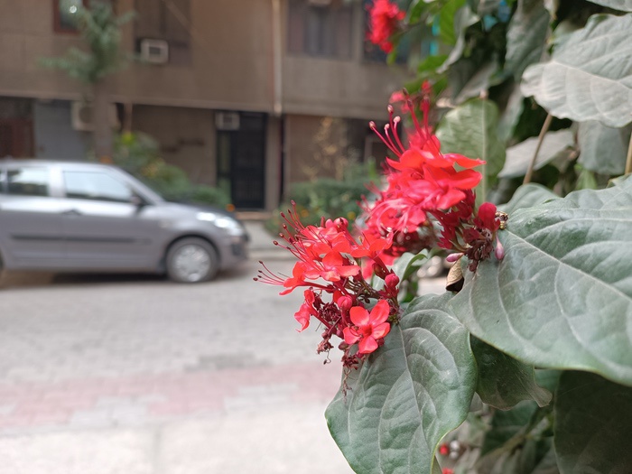 redmi note 11s review: finally, hitting a mighty note - img 20220225 105834