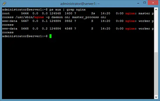 Controlla i processi Nginx.