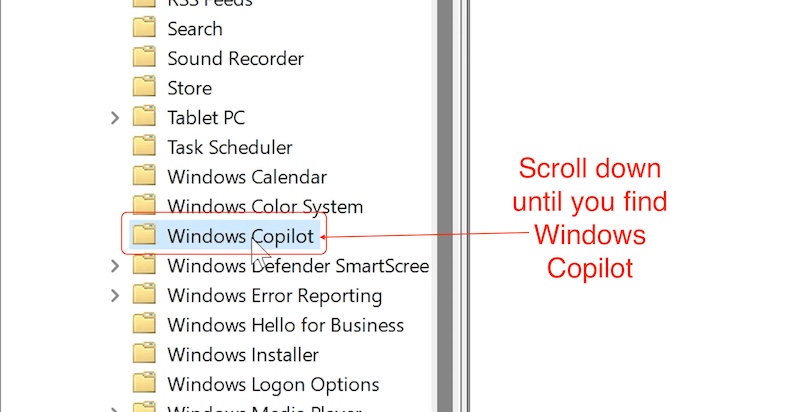 найдите windows copilot
