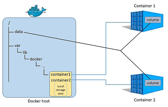 Données du conteneur Docker