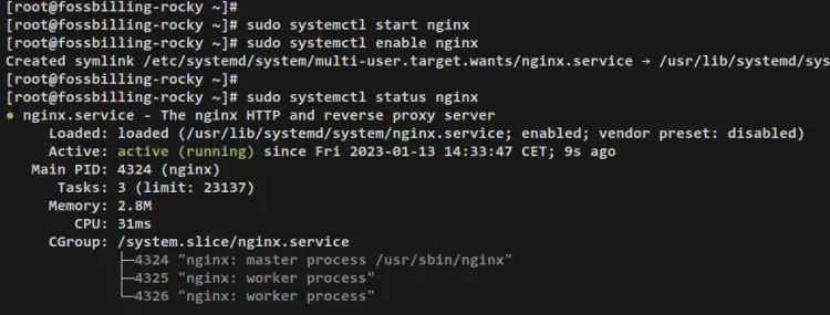 vérifier le démarrage nginx