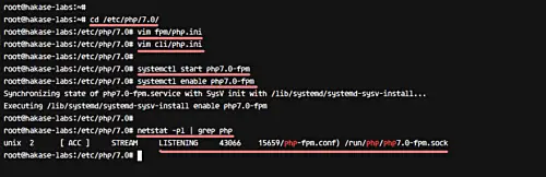 Controlla il processo PHP-FPM