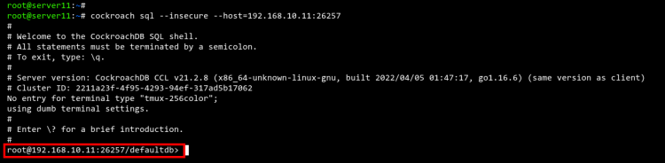 Login to SQL shell