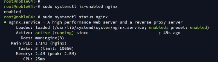 verificar nginx