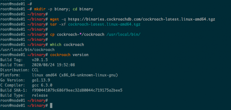 Scarica e installa il binario CockroachDB
