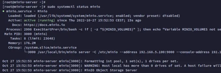 check minio service