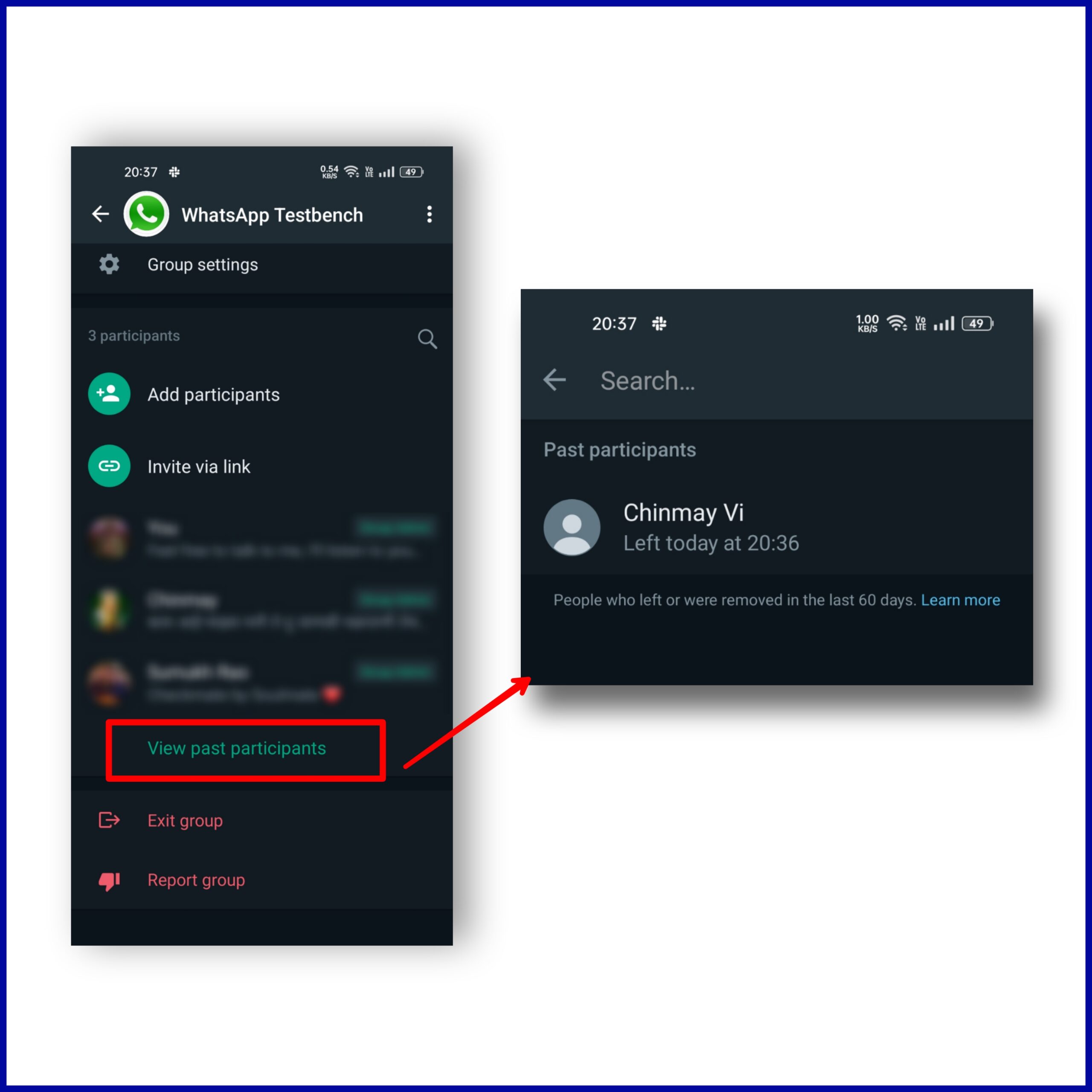 visualizza partecipanti passati in whatsapp
