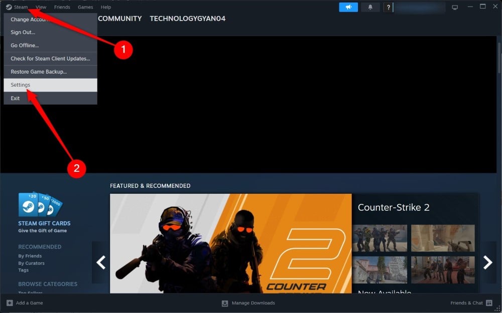 impostazioni client steam
