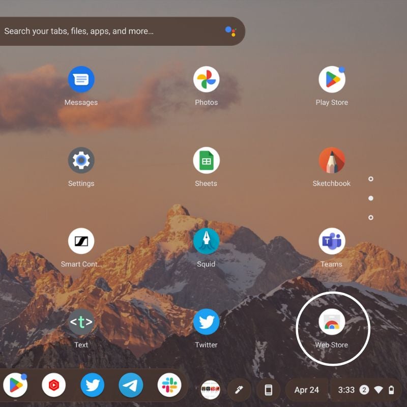 chrome web store