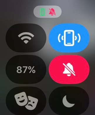 ペアリングされたiPhoneをピンするためにピンボタンをタップして長押し