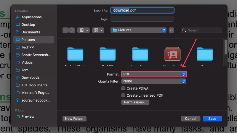 salva pdf come documento word
