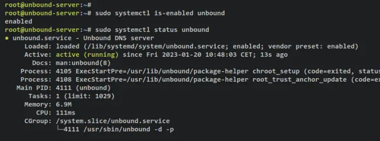 verificar unbound