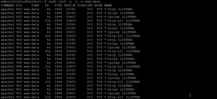 Finden Sie Netzwerkaktivitäten nach Benutzer auf Linux