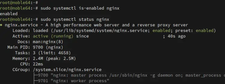 verificar nginx