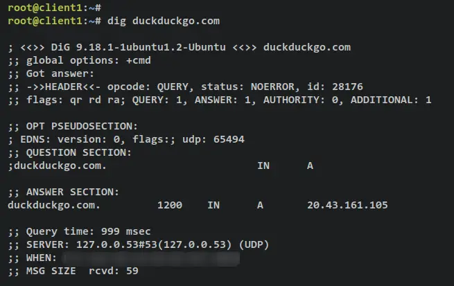 dig duckduckgo antes