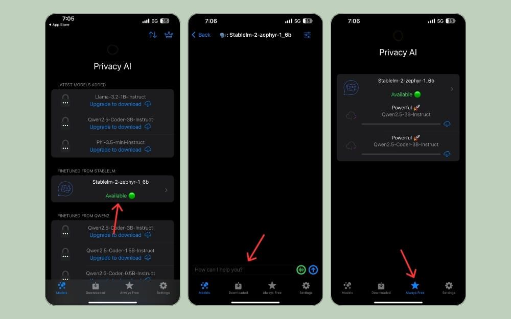 приложение privacy ai локальные модели