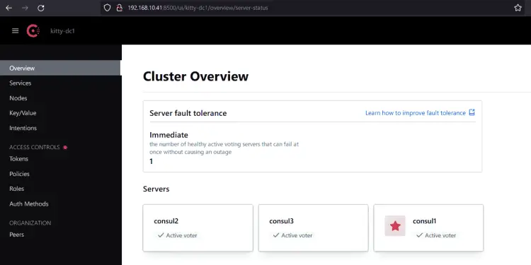consul web ui