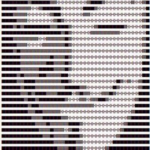 Чей это Twitter? У Anonymous возник спор из-за денежных средств YourAnonNews