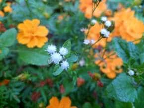 img_20151129_073248