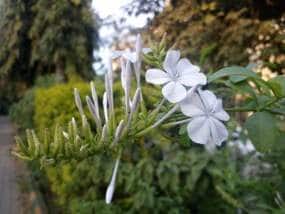 img_20160131_175015
