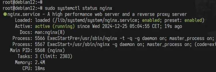 verificar nginx