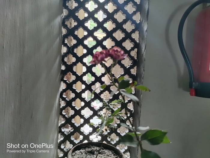oneplus nord ce 5g review: a little more than we expected indeed - img 20210613 162629