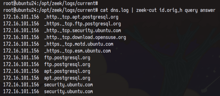 zeek log