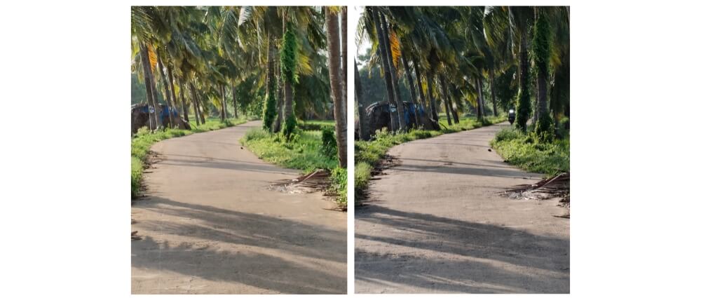 comparaison de zoom de la caméra du realme 13 pro vs realme 13 pro plus
