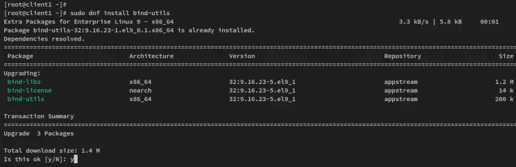 instalar bind utils