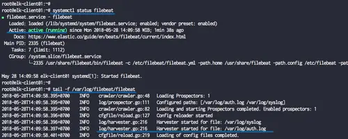 Filebeat está em funcionamento