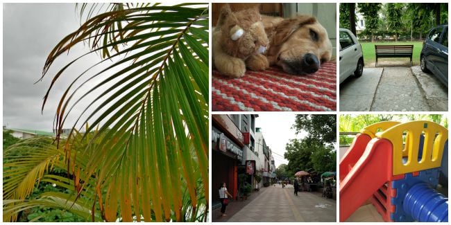 oneplus2-photo-samples-1