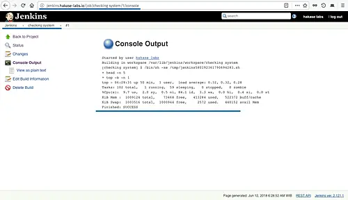 Resultado de la ejecución del trabajo de Jenkins