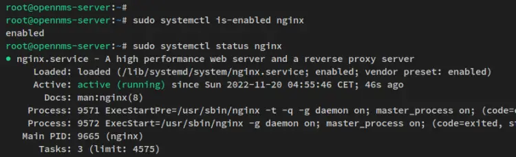 vérifier nginx