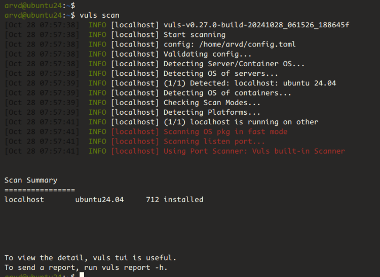 сканирование localhost с помощью vuls