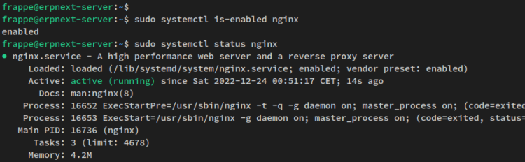verify nginx