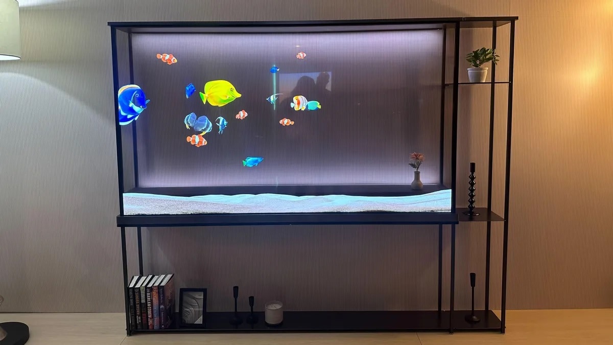 Téléviseur OLED Transparent Sans Fil LG