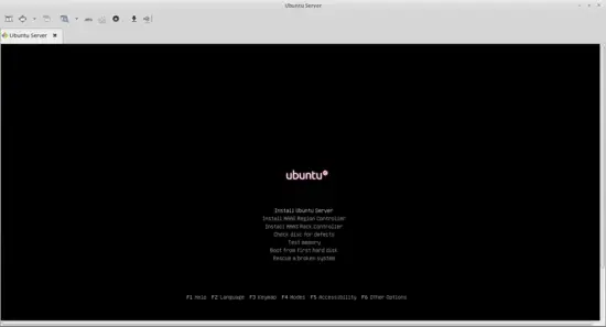 Remmina RDP 経由の Ubuntu VM。